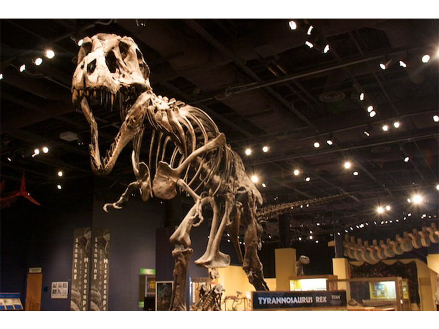 Orlando Science Center